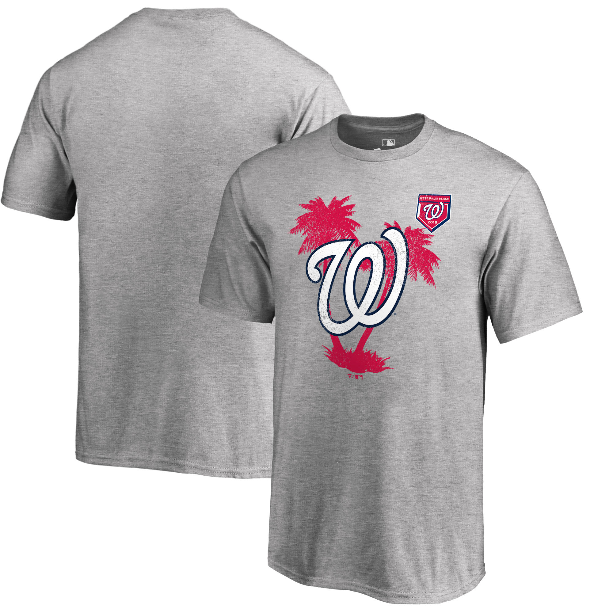 Men's Washington Nationals Fanatics Branded 2018 MLB Spring Training Vintage T-Shirt ?C Heather Gray